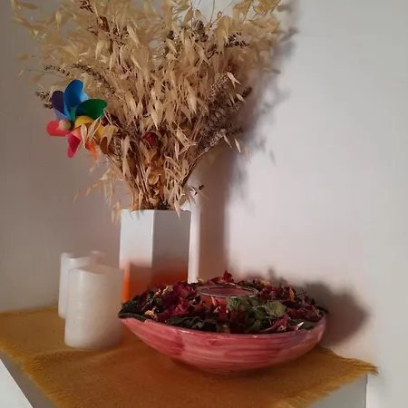Gracela Vodice