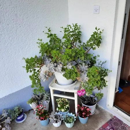 Gracela Apartment Vodice